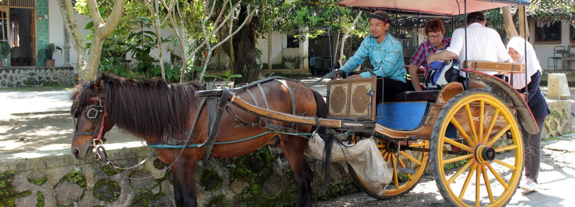 Dokar - Indonesian Transportation