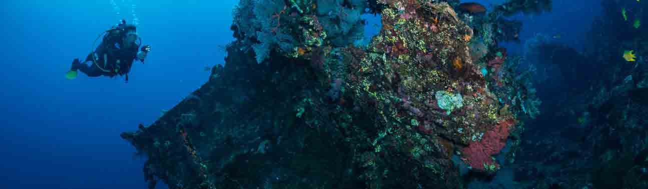 Tulamben | Wreck Diving in Bali | Calico Jack