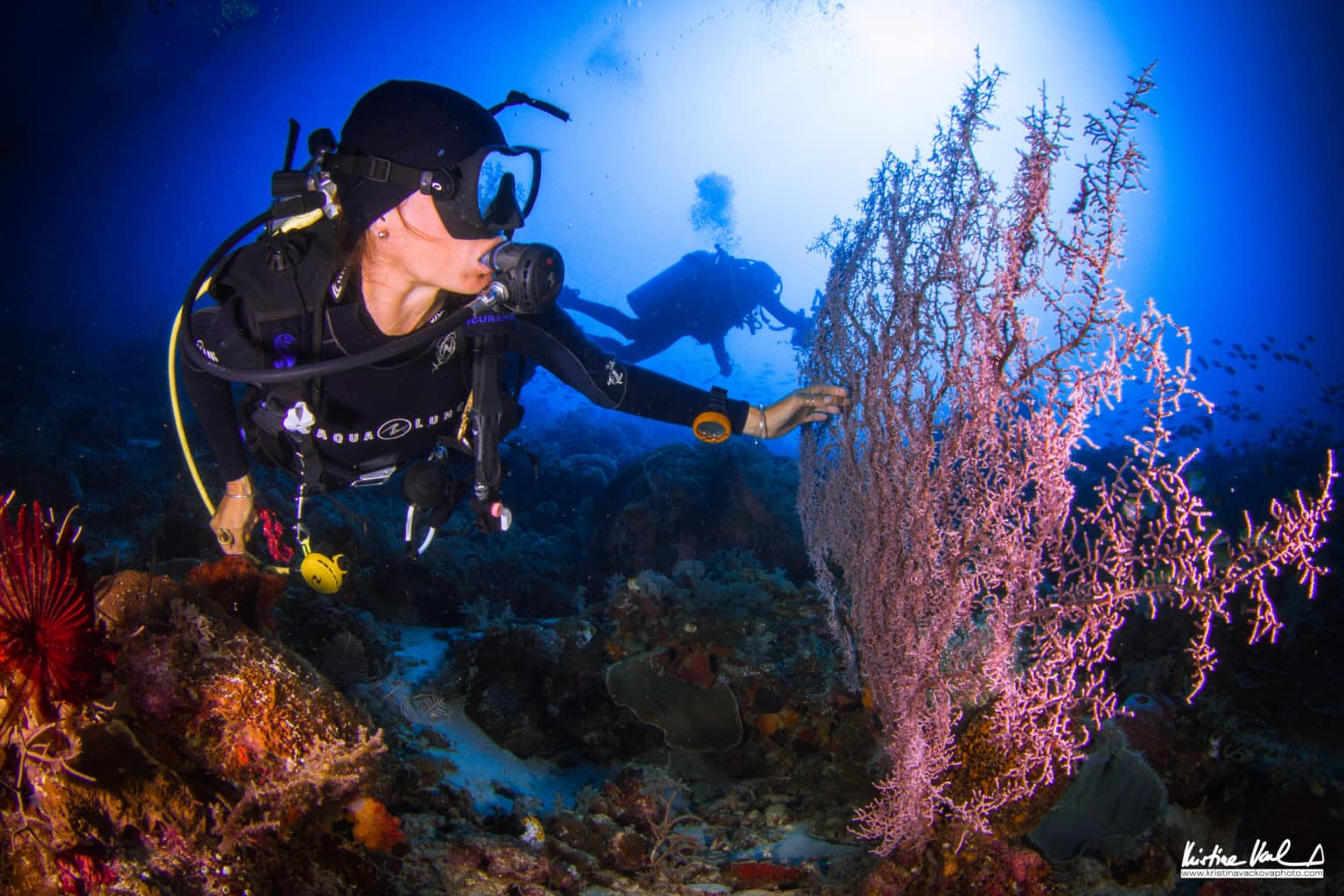 Scuba Diving in Indonesia | Calico Jack