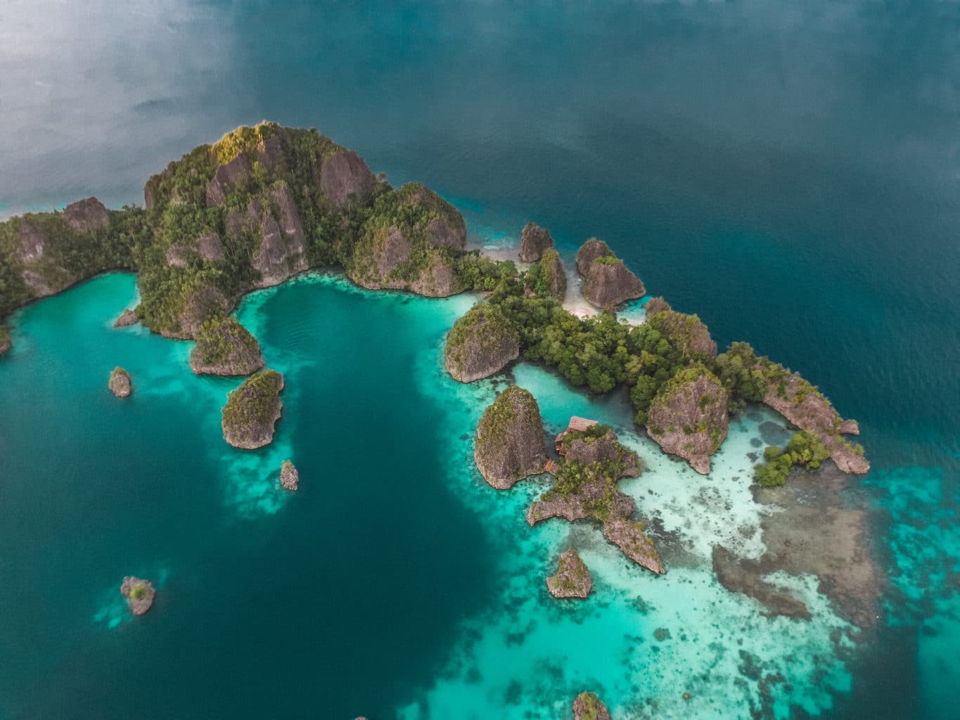 Raja Ampat Shot from Above | Liveboard Destination Indonesia | Calico Jack