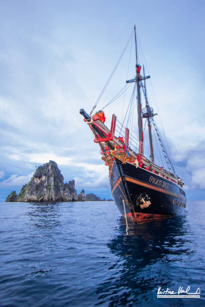 Diving board perfect for holiday in Raja Ampat, Banda Sea, Cendrawasih bay, and Triton Bay | Calico Jack