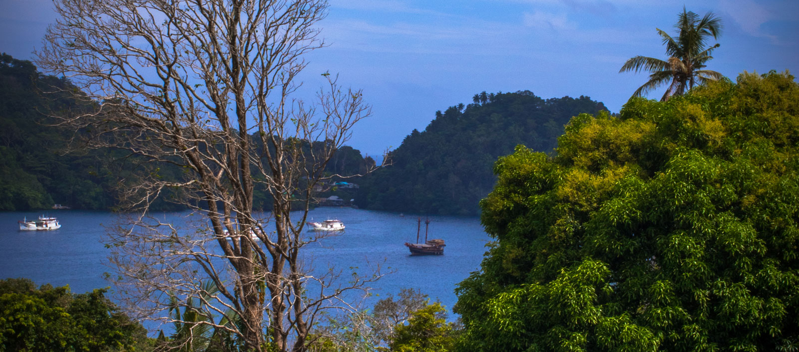 Diving Liveaboard Experience | Liveaboard Diving in Banda Sea Indonesia