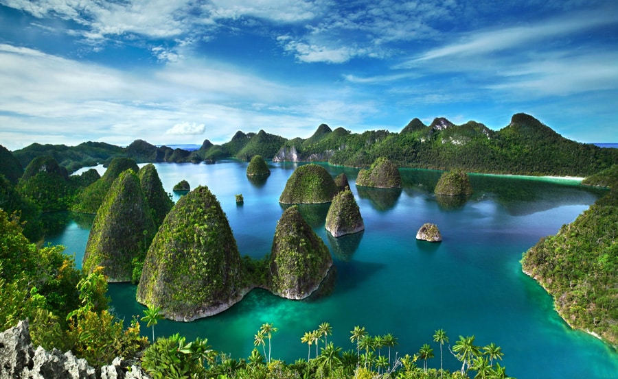 Raja Ampat islands Indonesia | Calico Jack